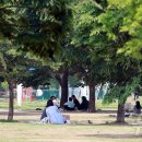 옹기종기 이미지