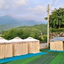 힐링버블 이미지