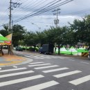 풍기토종인삼시장 이미지