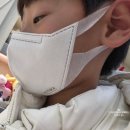 94 | 귀편한마스크 찾다 정착한 미마마스크 KF94 덴탈마스크 후기