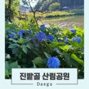 대구 수국 명소 진밭골 꽃구경 이 글 안 보고 가면 후회해요