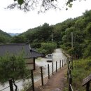 동서트레일 51구간 3부 비동골-분천역 : 아름다운 낙동강 여울목, 언덕의 수수밭 수수이삭은 하늘로 치솟아 오르고 이미지