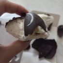 여수언니 봄날엔초코퐁당 후기 가격 팝업미아현대백화점 위치 요거꿀떡 초코초꾸떡 추천 비추