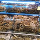 숭문중학교 이미지