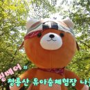 씽씽베어 이미지
