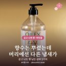 일랑일랑헤어살롱 | 샴푸 추천 향기 좋은 데일리 5가지 ｜ 잔향·찰랑머릿결·여름 머리냄새