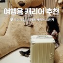20 | 여행용 캐리어 추천 키코 다소니 기내용 캐리어 20인치 후기
