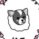 뽀독 뽀독 이미지