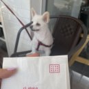 감성커피아산용화점