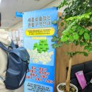 세종로행정사사무소 이미지