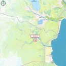 티엠에스 이미지