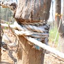 석화유치원 이미지