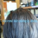 코아미용실 이미지