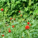 도인농장 이미지