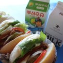 하하인터렉티브 Daum카페