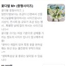 사당역꽃집 써니드플레르 당일픽업 가능 꽃집추천