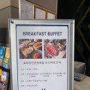 현진수산 | 여행 코스 추천 🌊 | 오뚜기장칼국수, 논골담길, 묵호항수산시장 가미수산, 키토리아, 동쪽바다중앙시장