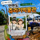 안면도쥬라기박물관 | 안면도 쥬라기박물관 후기 아이와 함께 가볼 만한 태안 여행지