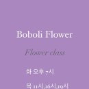 보볼리플라워 이미지