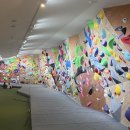 [수원 암장 추천] 수원역 그래비티 클라이밍(수래비티) 볼더링 후기 | 난이도 주차 가격 암장티 지구력