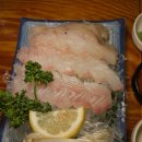 오징어 세상 이미지