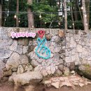 한라수목원 이미지