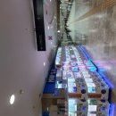 25-12/3-수 함바식당-아침밥 영등포-지하상가/구경 영등포-롯데백화점/구경 로또명당-로또구입 갈치구이-점심 이미지