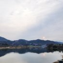 사나래독 | 230317 광양 하동 혼자 여행 (광양매화마을 평사리의 아침 솔향 사나래밀)