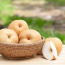 보강병원 이미지