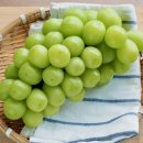 대경유통 이미지