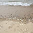 펜트하우스펜션 이미지