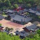 순천-42호 이미지