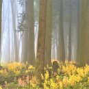 (재)대한환경보건원 솔한의원 이미지