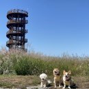 갯골생태공원(인포센터) 이미지