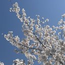 지에스25쌍용푸르지오점 이미지