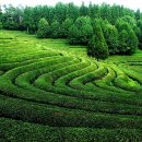 정보농장 이미지