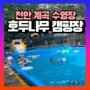 호두나무캠핑장 | 계곡 수영장 천안 호두나무캠핑장 평상 준비물 이용후기