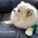 쥬쥬동물병원 이미지
