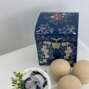 장례식 무지개다리건너 강아지별로 떠난 날 가정 유골보관 묻어주기 뿌리기 보호자님 실제후기 서울 경기도