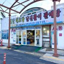 한나네활어