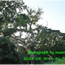 외연도3 이미지