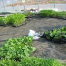 다정농장 이미지