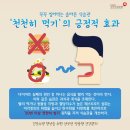 식사임당 티스토리