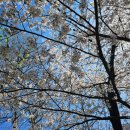 웃는봄 | 💐송리단길꽃집 엔엔엔플라워 (nnnflower) 봄 꽃다발 픽업 후기 ft. 작약 피오니 꽃말💐