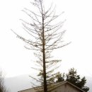 기차길옆 이미지