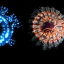 피부미인 이미지