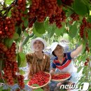 거창-가북-1 이미지