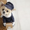 그후20년-가족 이미지