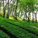 상상농장3 이미지