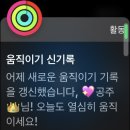 지앤지마케팅